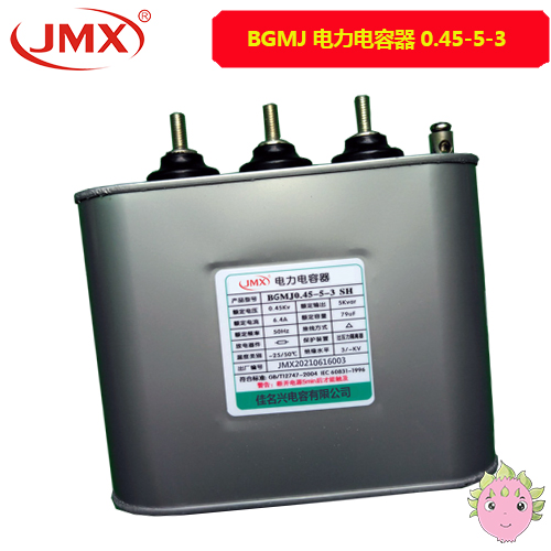 BGMJ电力电容器