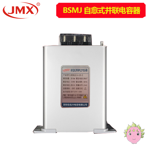 BSMJ自愈式低压并联补偿电力电容器 0.45-8-3 115X167X57